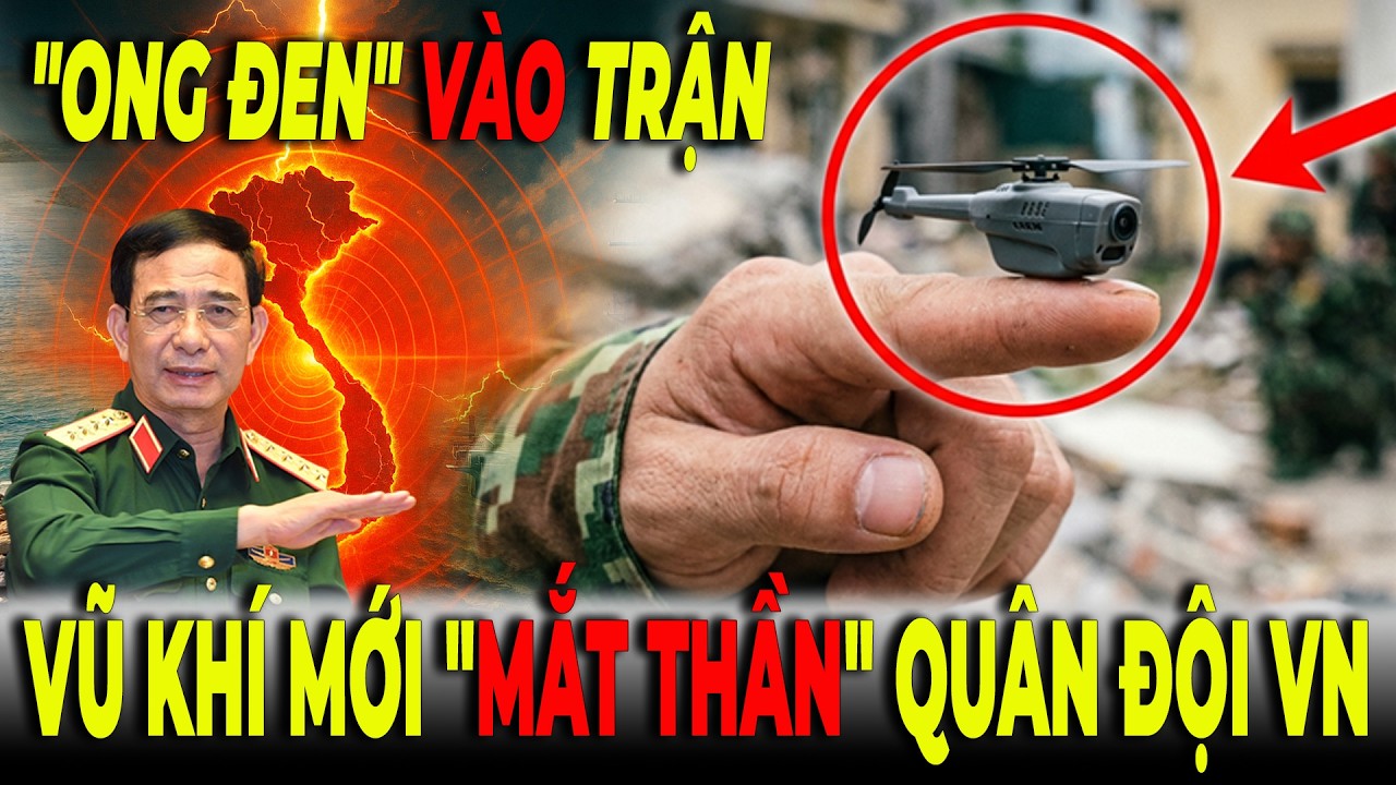 Lộ Diện 