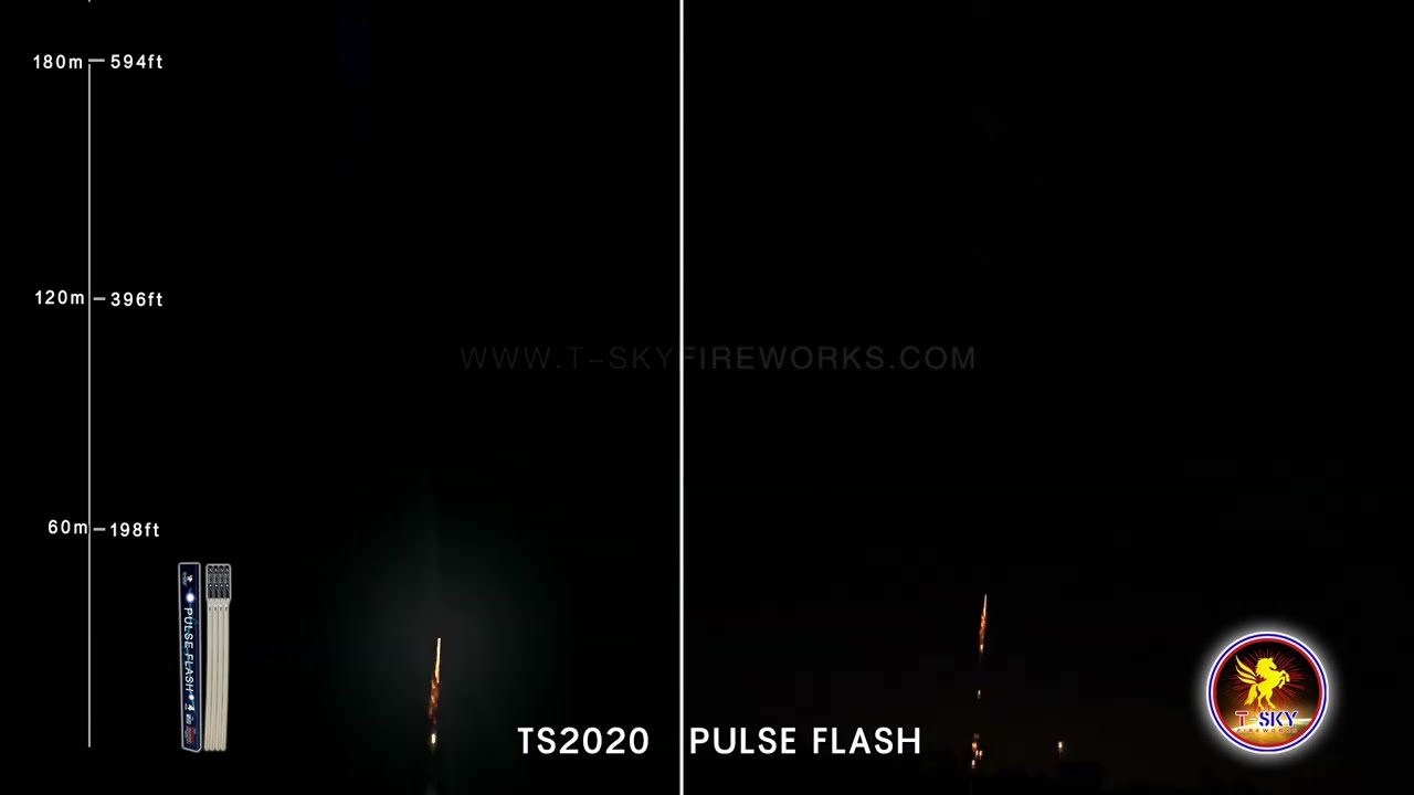 TS2020