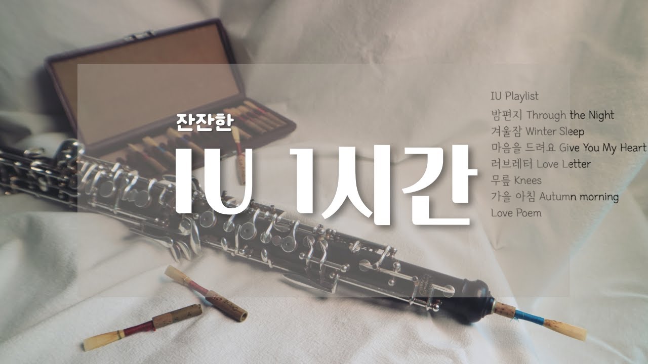 [Playlist] 공부할때 너무너무 듣기 좋은 잔잔한 아이유 노래 모음 ㅣ 공부 수면 독서 오보에 피아노 기타 연주 Relaxing Music for Study, Sleep