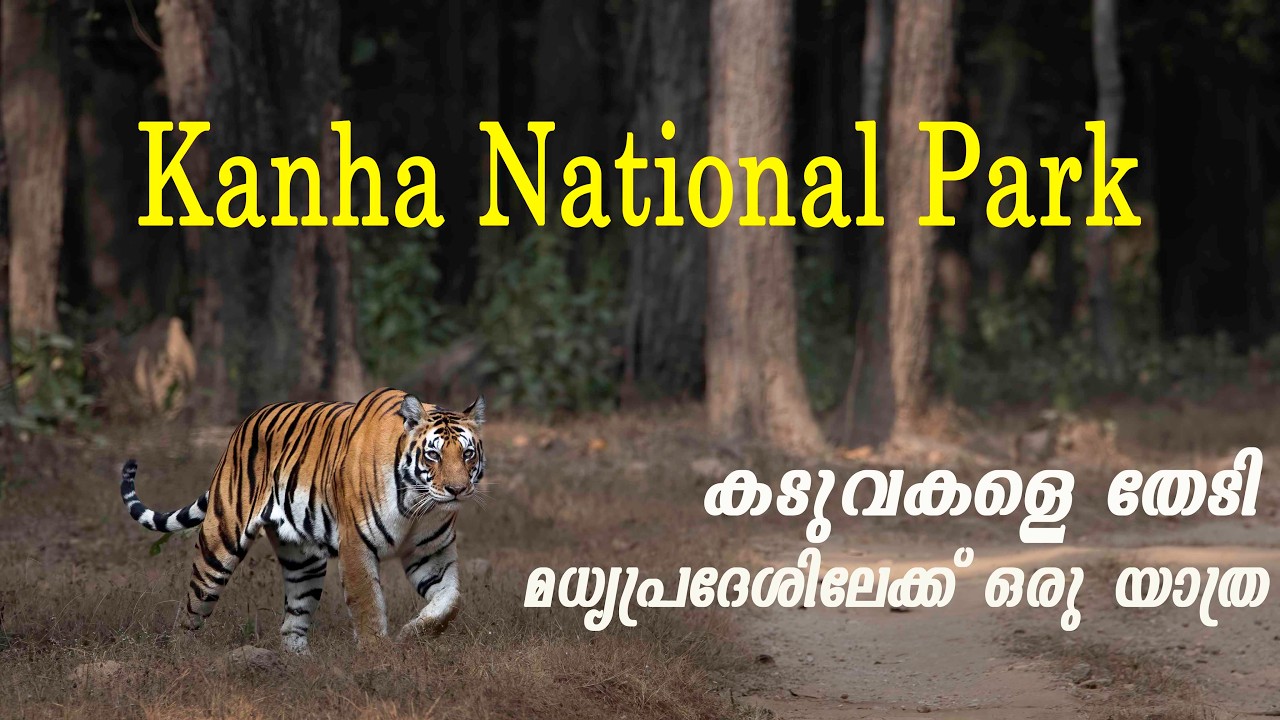 Part-1 | Kanha National Park Tiger Safari | Royal Bengal Tiger in the Wild | Land of the Tiger