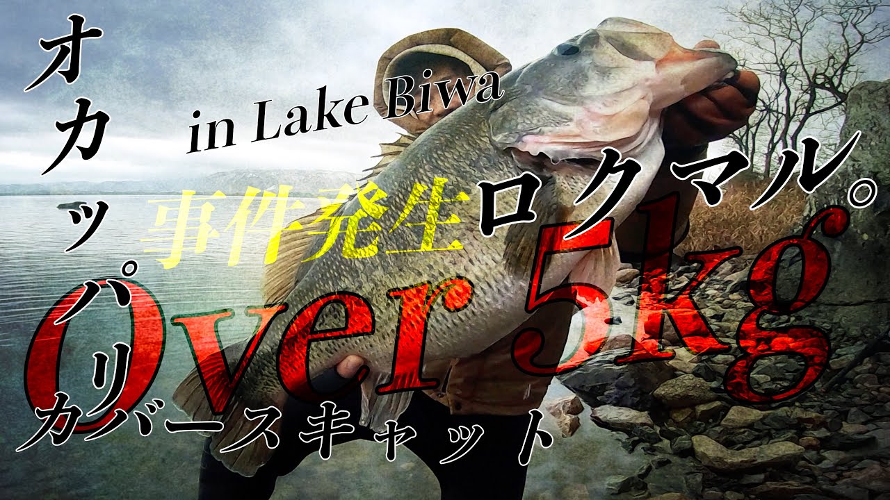 陸っぱりからロクマル、5kgOver…!!!カバースキャットで。【琵琶湖バス釣り】