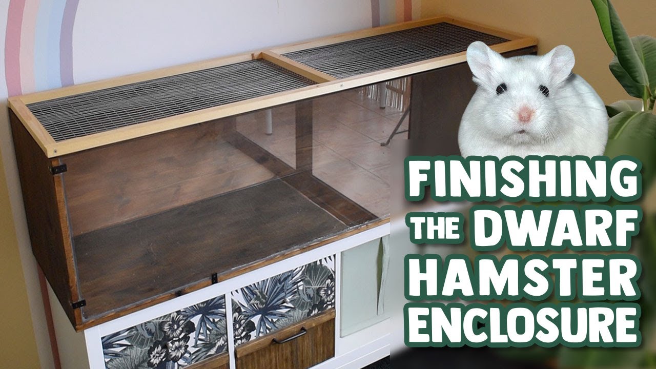 Pet Room & Dwarf Cage Updates | The Little Cage Project Ep.2