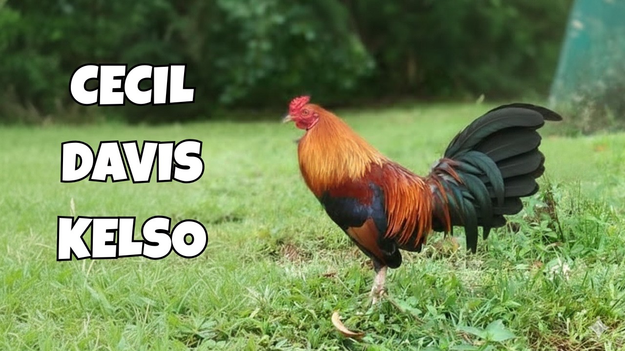 WGE 2026 | Jerika Alvarado