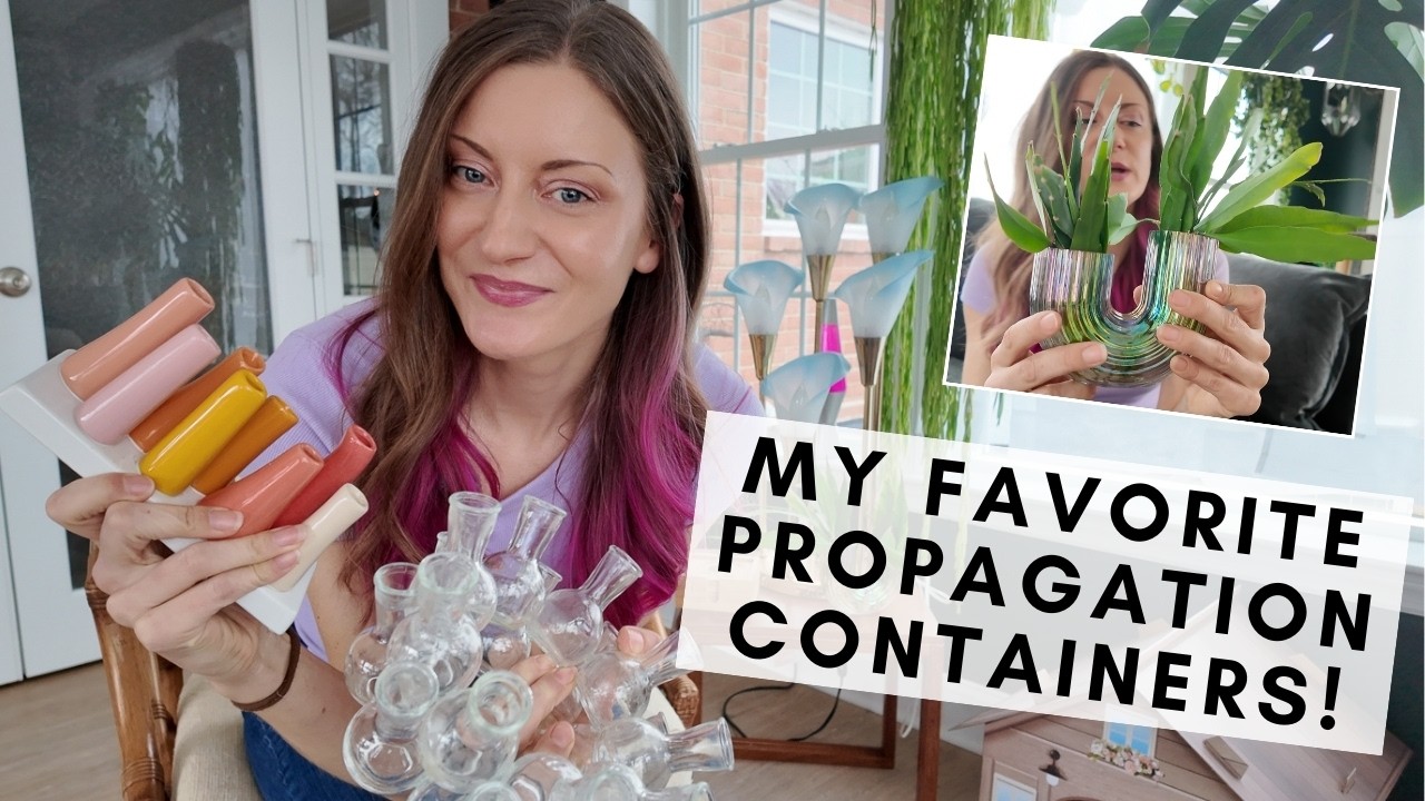 All my favorite upcycled and thrifted propagation vessels for houseplants & cuttings!