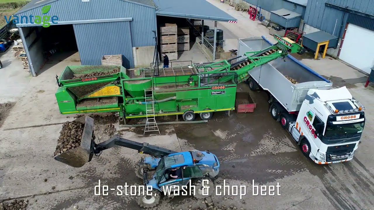Why Wash Fodder Beet?.... Find out why