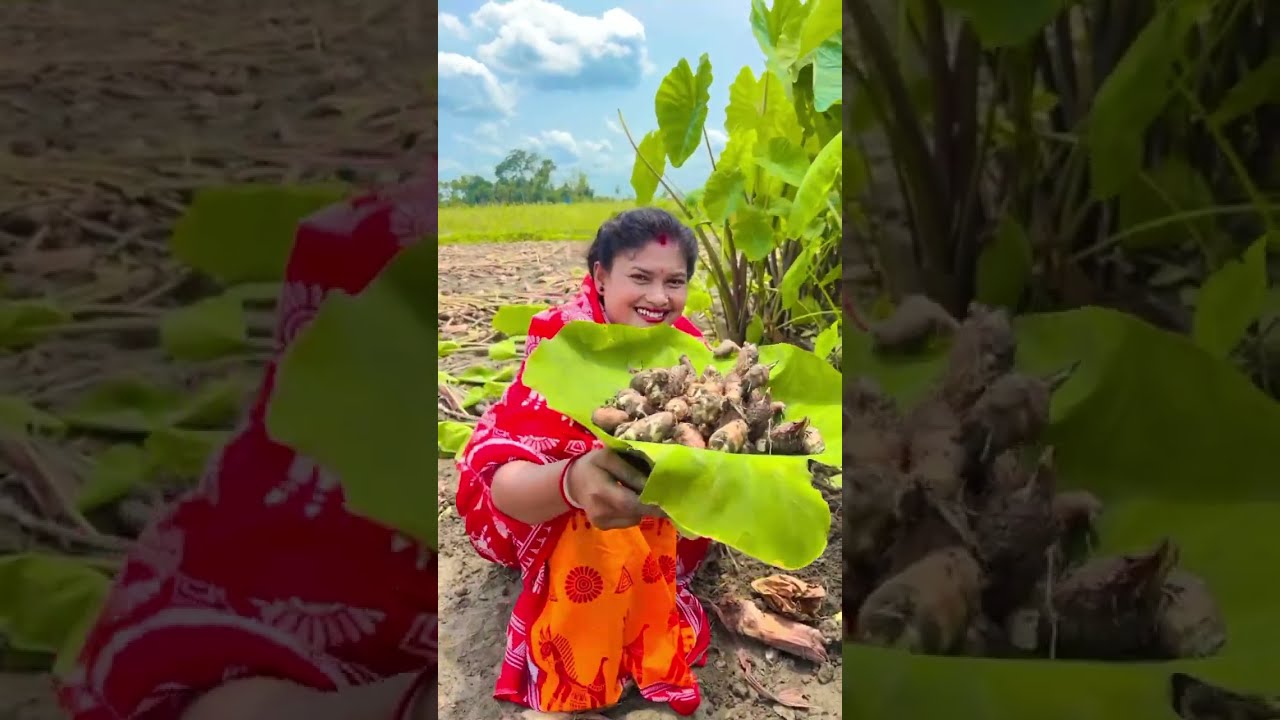 Kochur kaliya #food #recipe #cooking #kanika_rannaghor_with_village_food