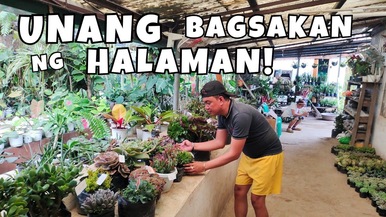 FIRST PLANTS NEW ARRIVAL OF THE YEAR | IN MINI DINO PARK & ECO GARDEN