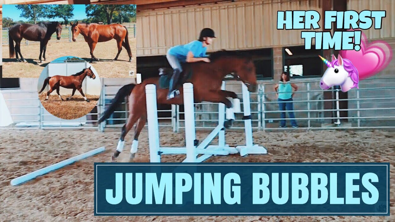BUBBLES' FIRST TIME JUMPING  // BARN VLOG #14