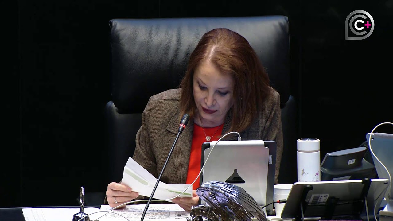 Sesión de la Cámara de Senadores, del 17 de febrero de 2026
