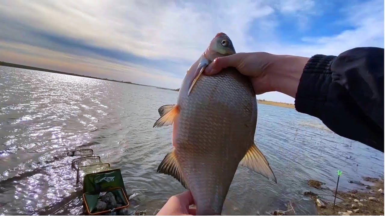 ТАКОЙ РЫБАЛКИ НИКОГДА НЕ БЫЛО!! МЕГА ЛЕЩИ И ЯЗИ!!