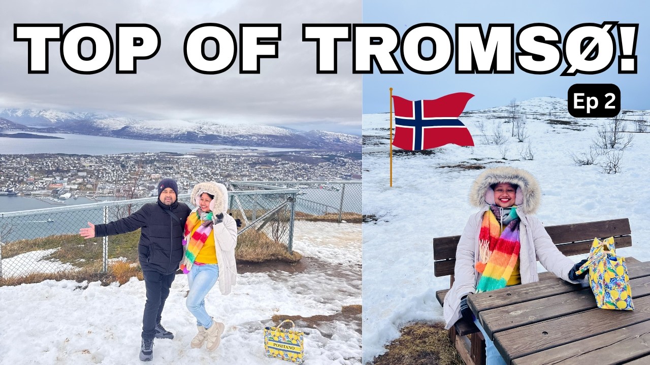 Tromsø নরওয়ের স্বর্গীয় সৌন্দর্য 🇳🇴 | Arctic Top View & Polaria ভ্রমণ | Norway Travel Vlog