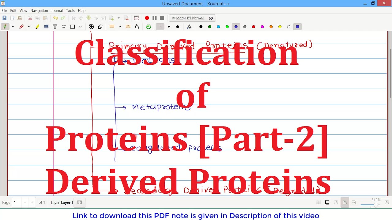 29. Classification of Proteins [Part-2] | Derived Proteins