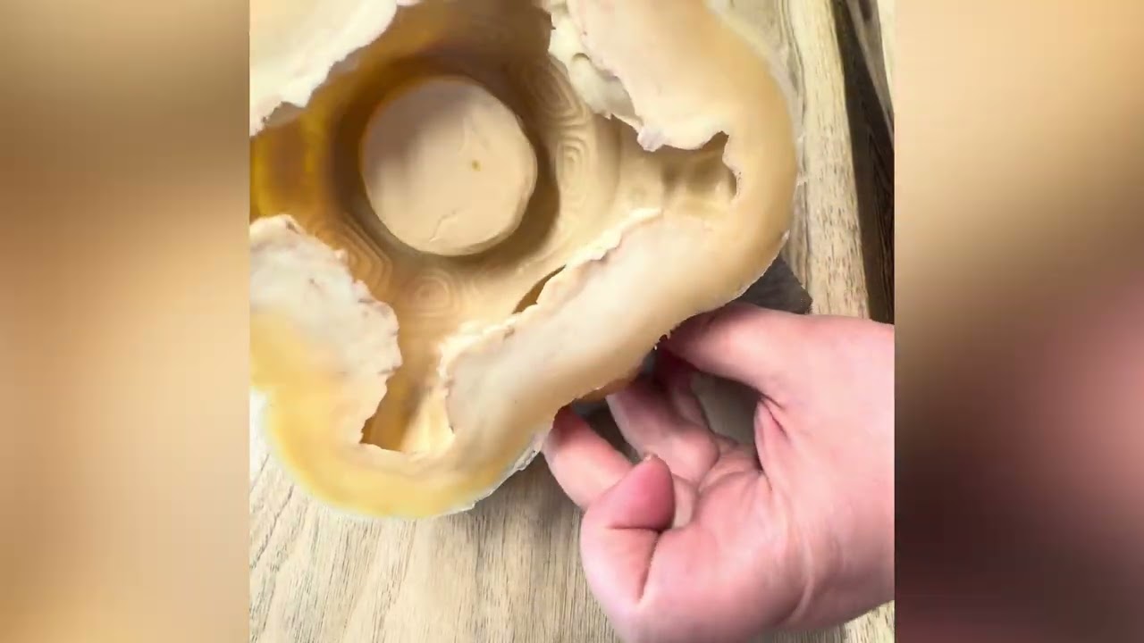 Turtle mold