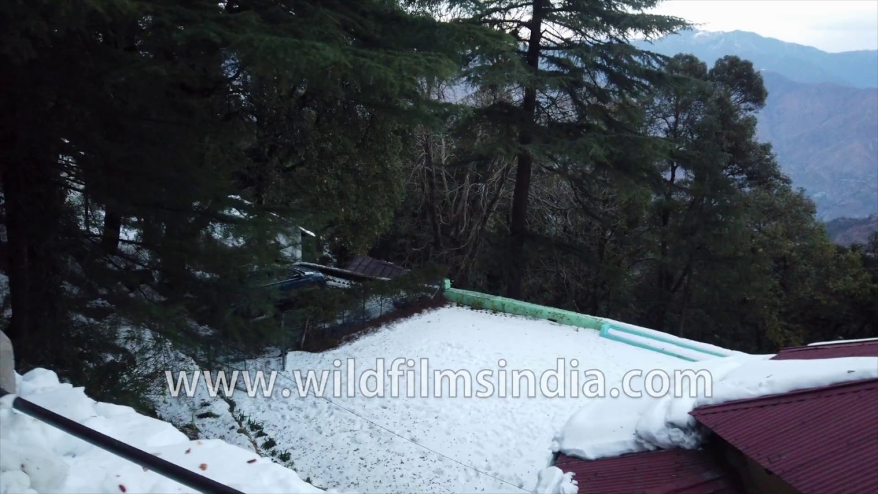 Heavy snowfall in Landour and Mussoorie, January 2020