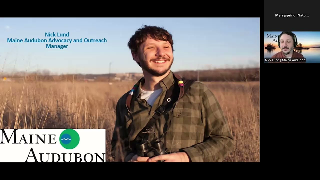 Maine's Spring Birds with Nick Lund, Maine Audubon