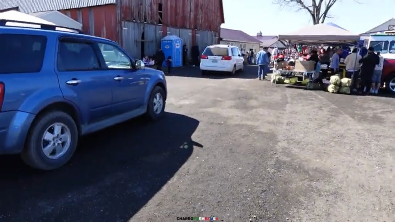 DE COMPRAS CON LOS AMISH IN EL FARM IN MECHANICSVILLE MD USA 