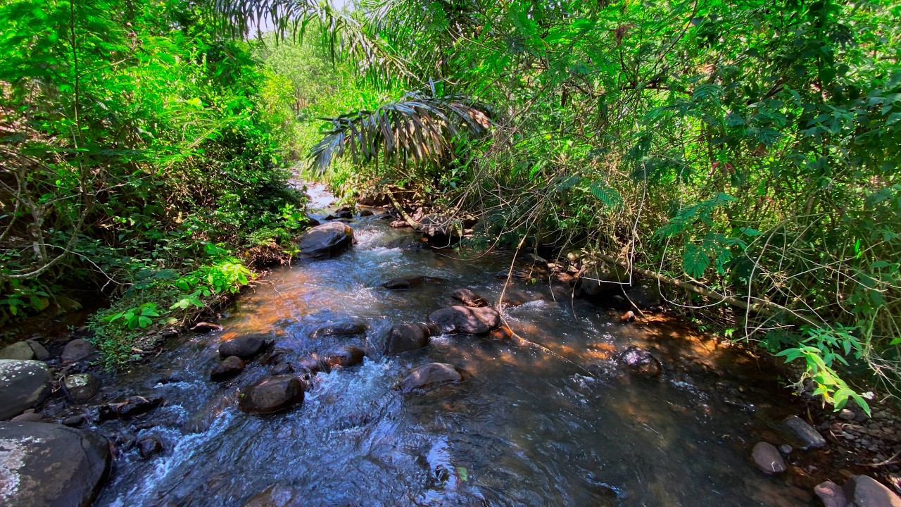 Relax & Overcome Fatigue with Calming River Sounds and Picturesque View of Gentle Flowing Water
