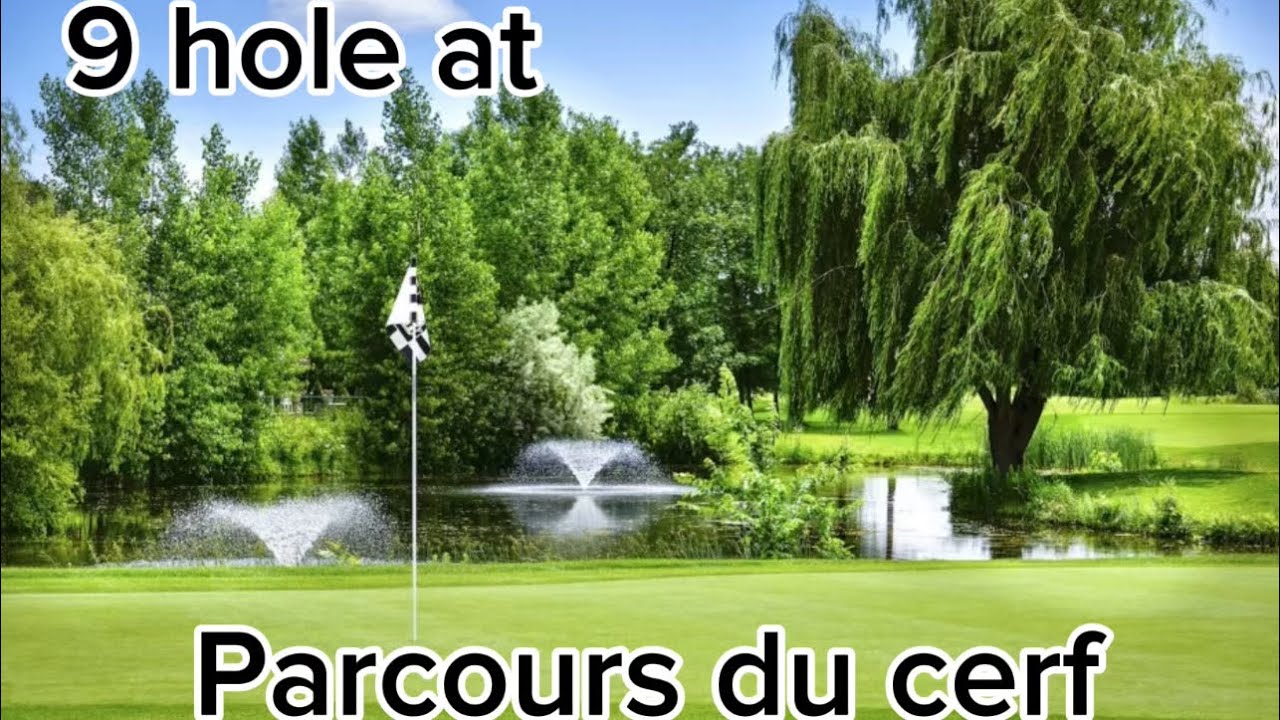 Play 9 hole with me 7.6 handicap in is very good day …