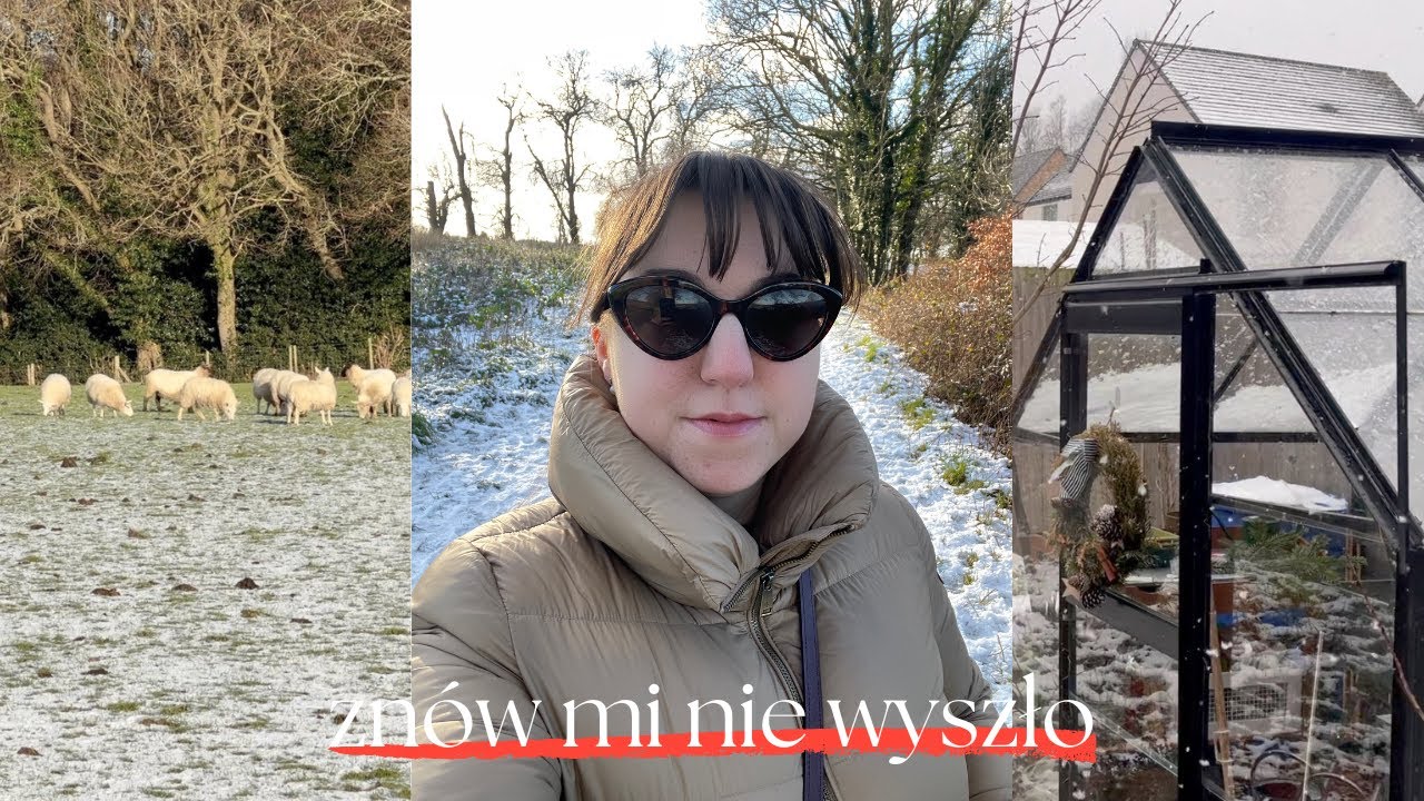 Poświąteczne porządki i podsumowanie 2025 roku