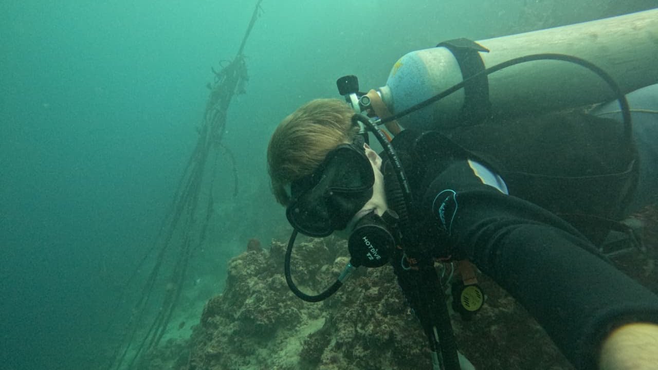 Dive Moalboal raw data