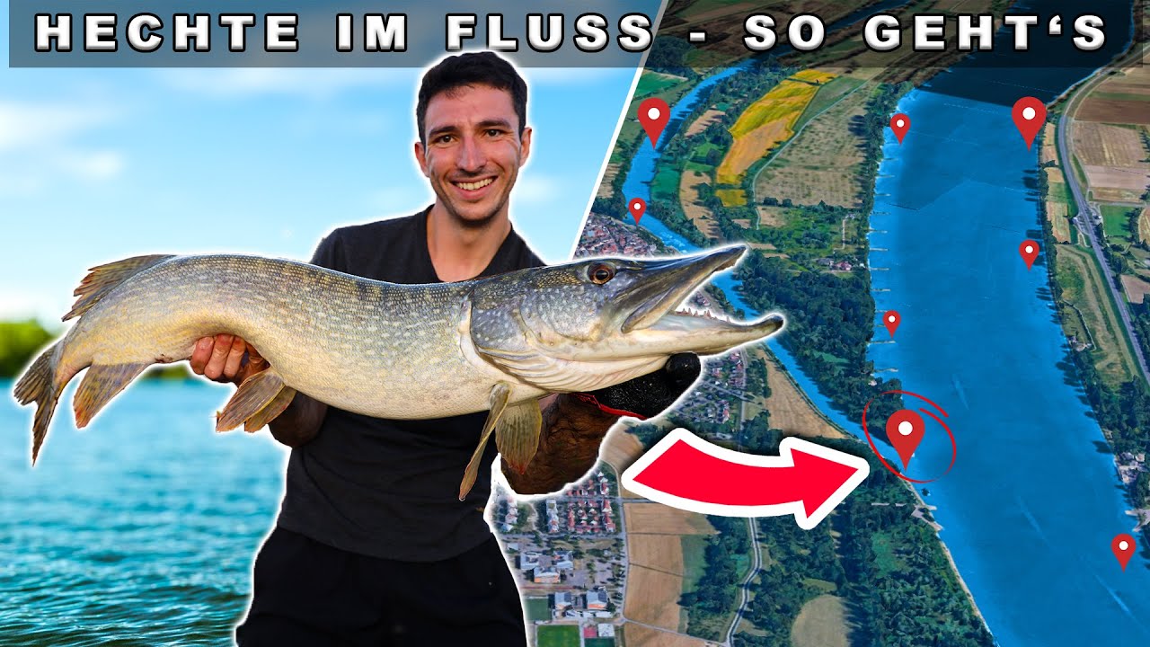 HECHTANGELN im Fluss - so geht's! So FÄNGST du große Hechte beim SPINNFISCHEN vom Ufer🎣