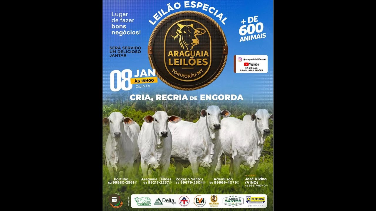 Araguaia leilões Torixoréu - MT  08/01/2026