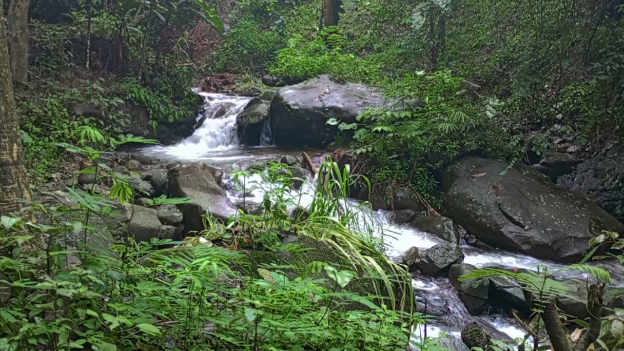 nature sleep relaxasi stream original