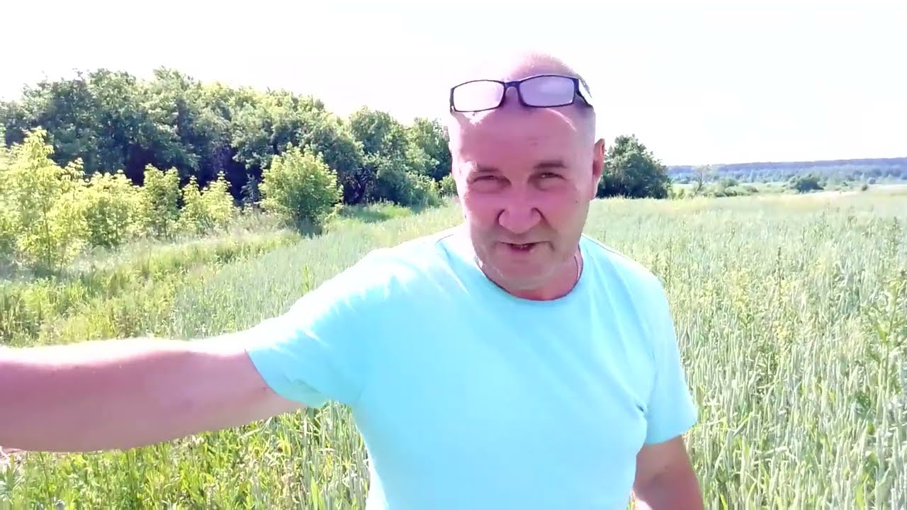 Карника ВТ