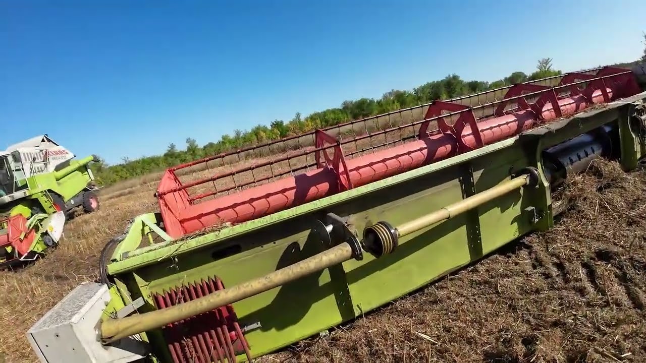 CLAAS MEGA. Уборка нута на калыме.