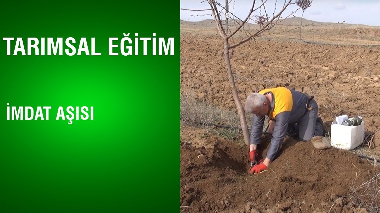 Tarımsal Eğitim - İmdat Aşısı