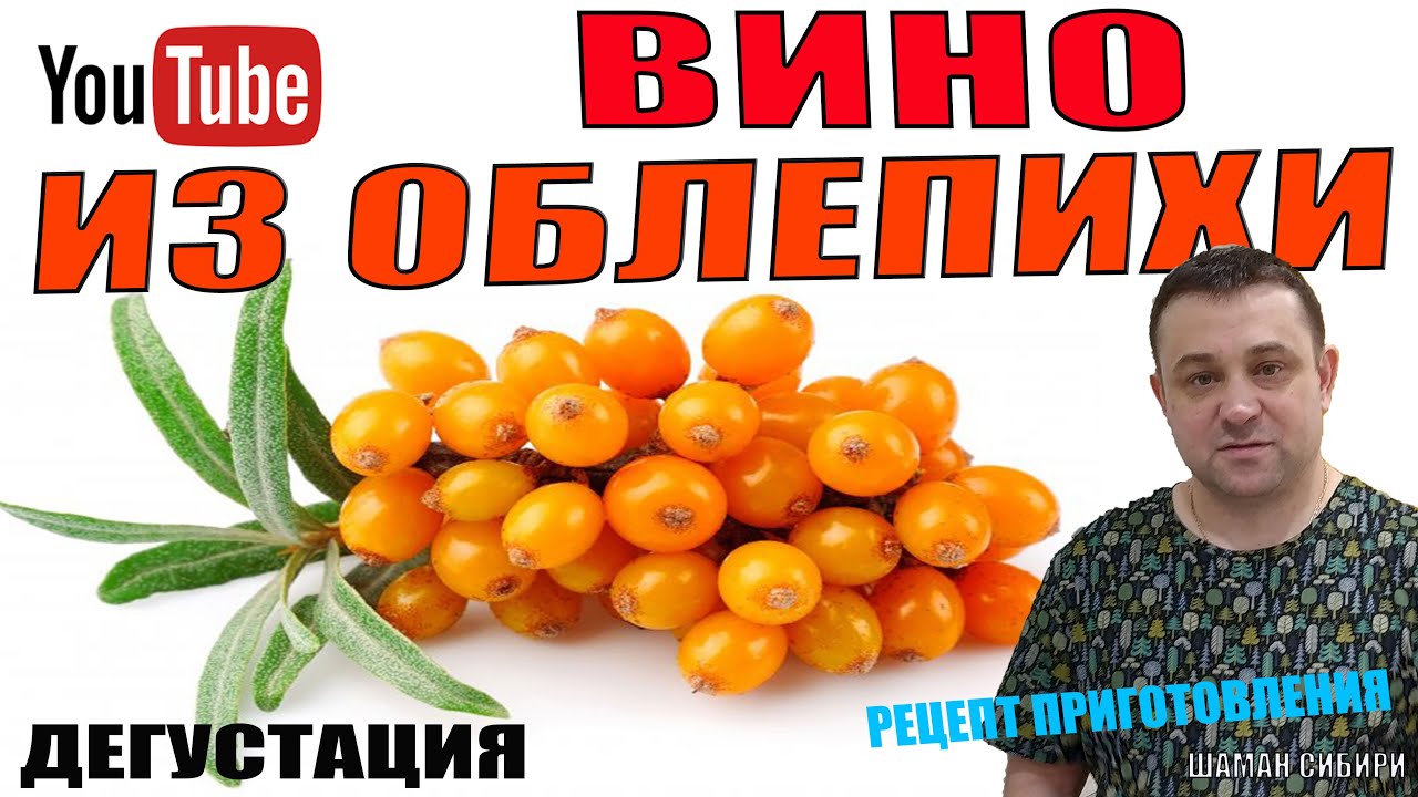 Вино из Облепихи! Рецепт приготовления! Дегустация!