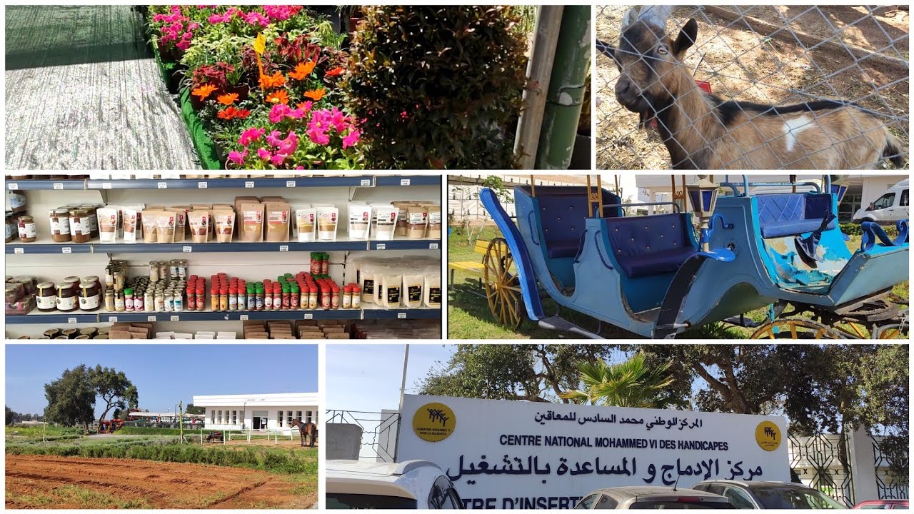 مكان رائع لقضاء اليوم مع الأطفال متعة و عمل انساني في نفس الوقت قريب من الرباط