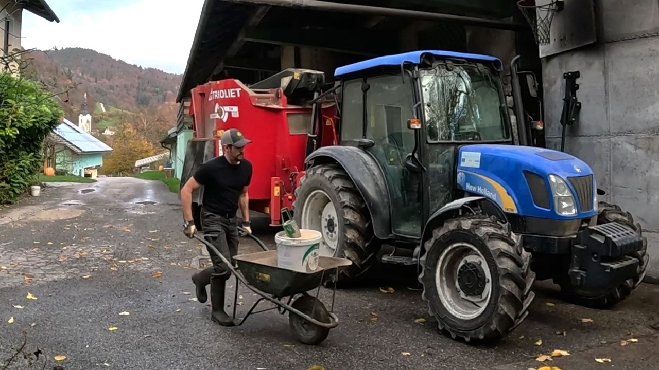 Relaxing Farm Work on a Small Dairy Farm
