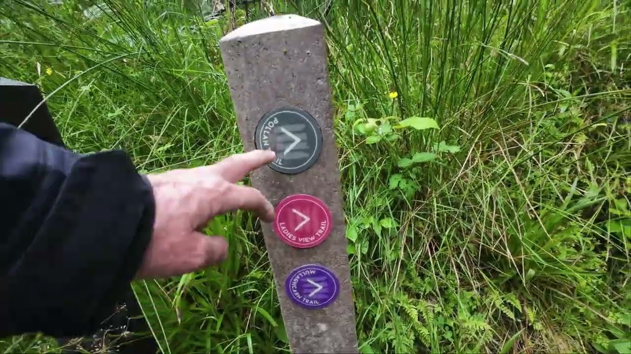 Ladies View Trail, Gortin Glen Forest Park 8th June 2025