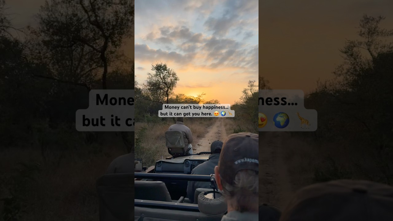 Happiness found on a South African safari 😍🦒🐘 
