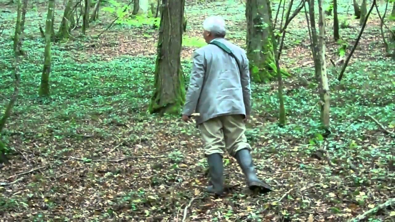 À la poursuite du diamant noir de Bourgogne à Autigny-le-grand (52).