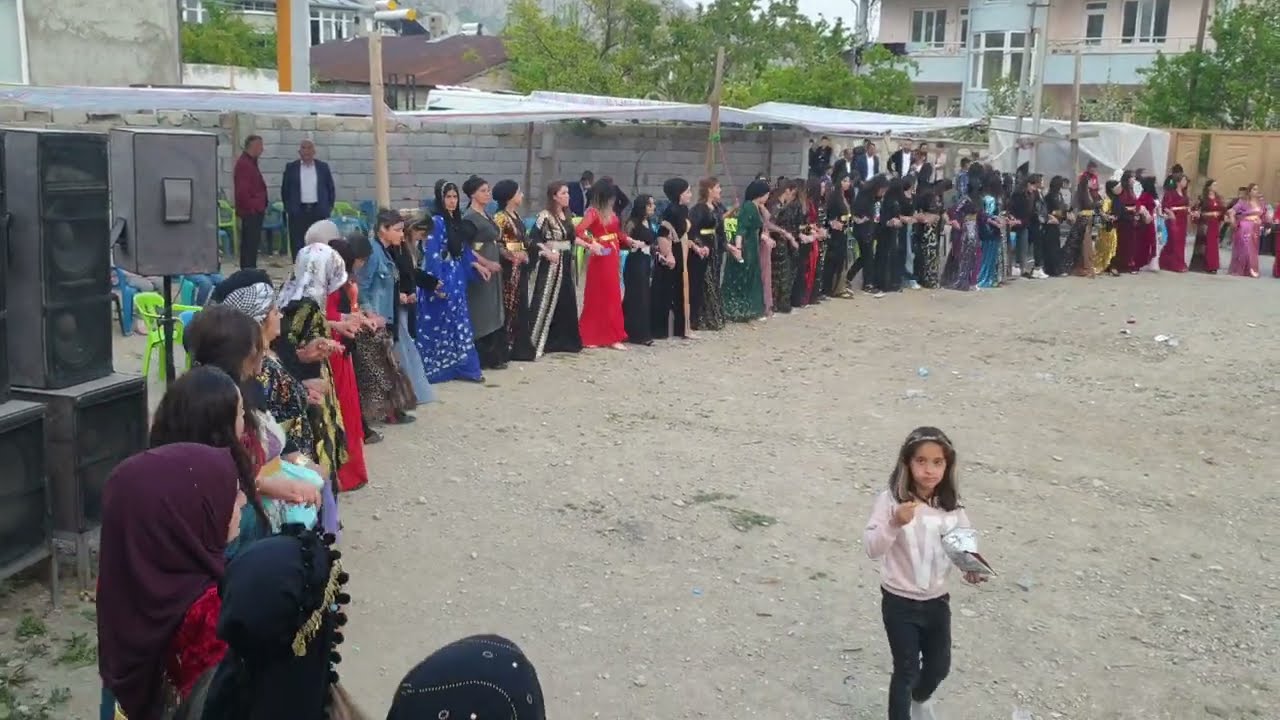 Koma deşta gever Van erbüşüler ertoşi düğünü kaplan aiylesi