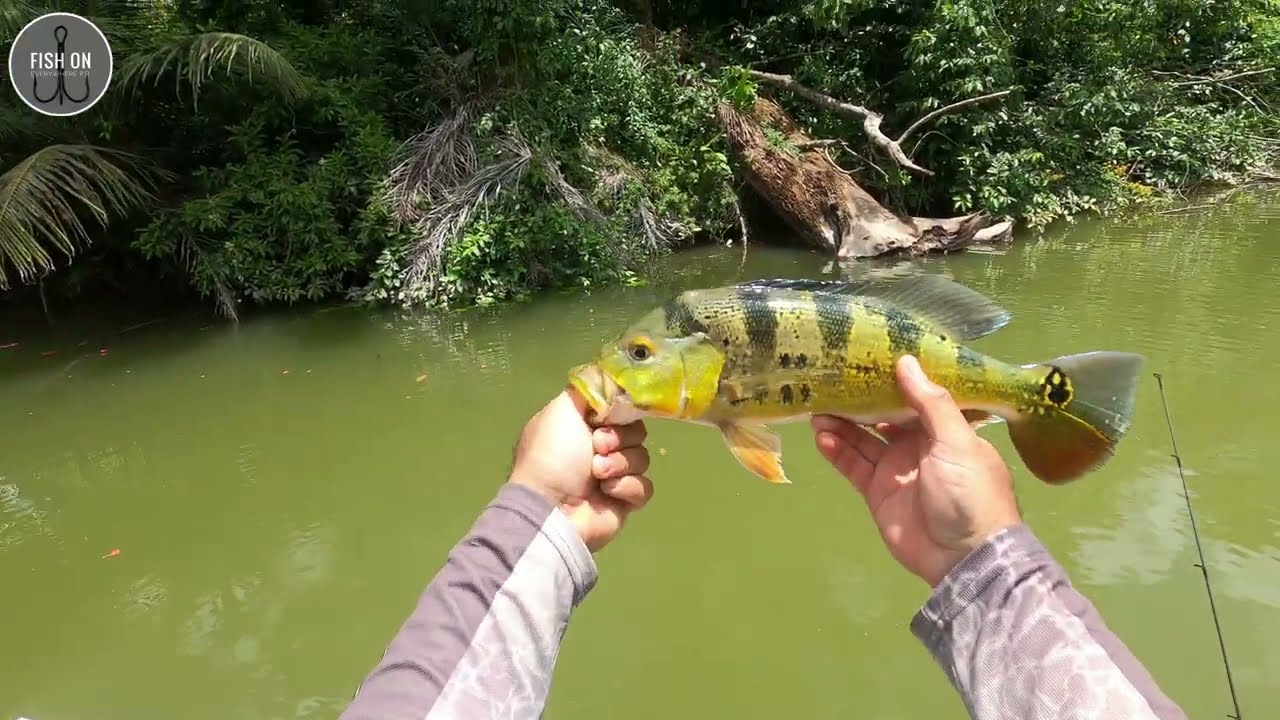 Picada salvaje  en el Dos Bocas
