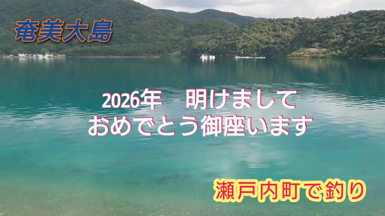 奄美大島 2026年瀬戸内町で釣り初め
