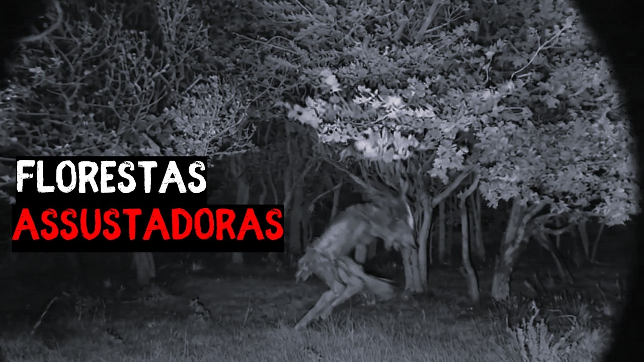 As Gravações Mais Pertubadoras em Florestas Sinistras Capturadas!