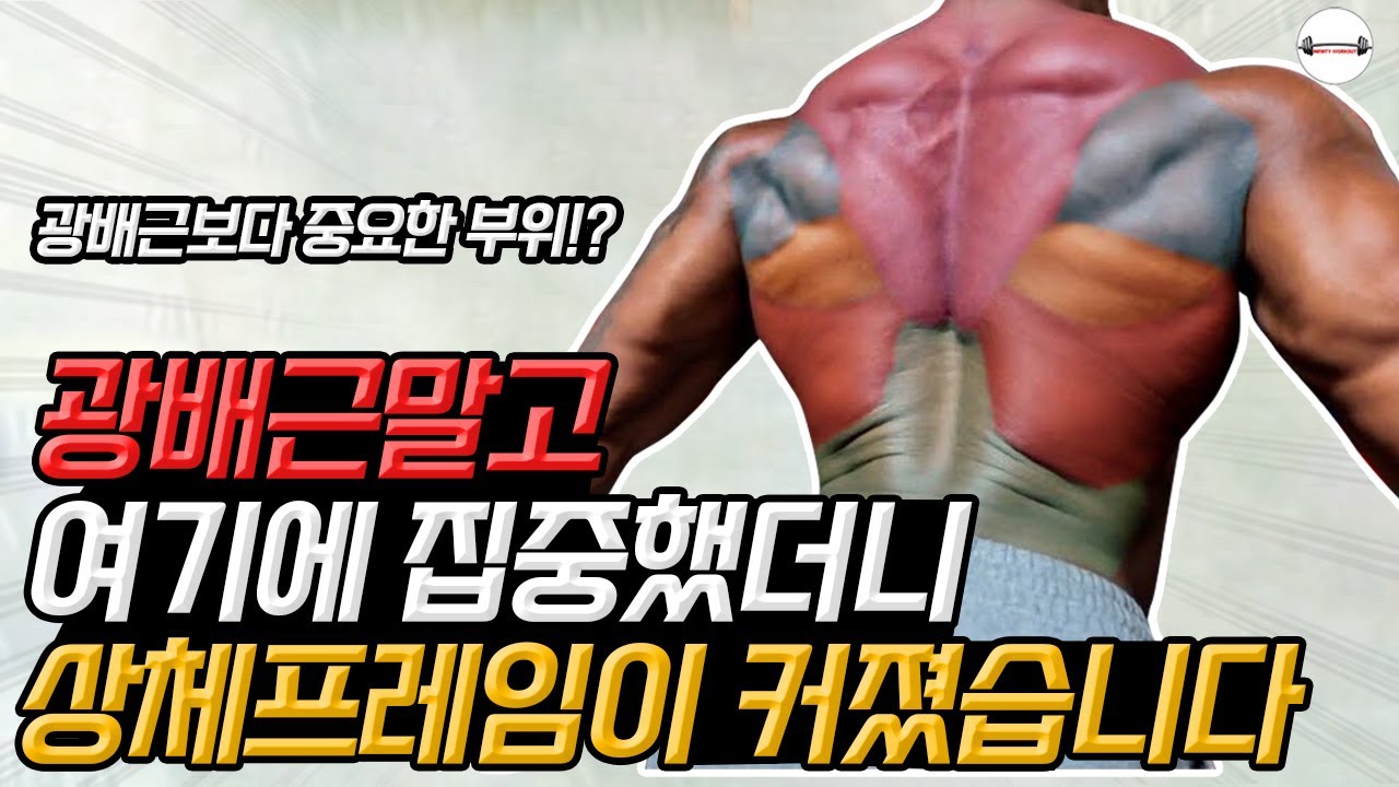 제발 '광배근만' 집착하지 말고 '이 부위'를 해야 프레임이 넓어집니다