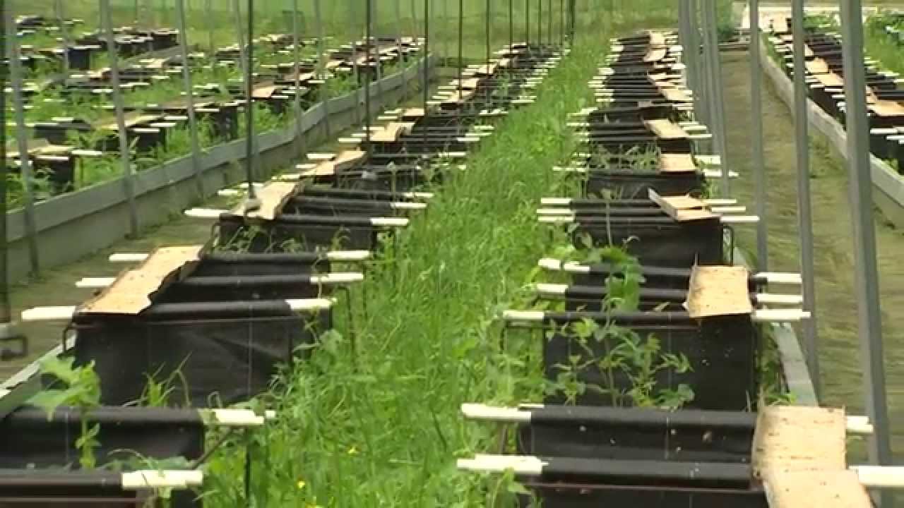 Red Natura 2000 en Euskadi: la producción ecológica unida al emprendimiento