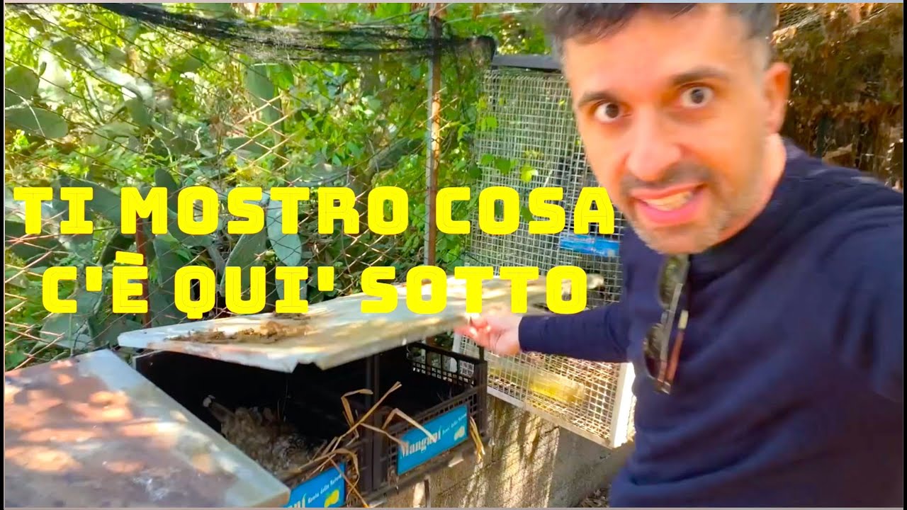 Ti Mostro Cosa C'è Sotto