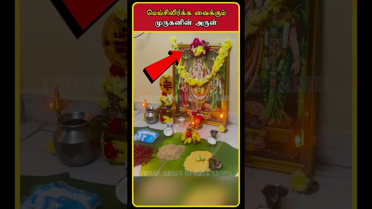 Real Life Murugan Blessing Video | Murugan Blessing | Murugan Songs in Tamil | Murugan | #shorts