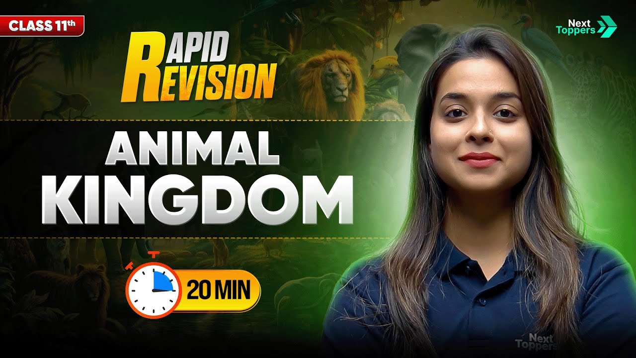 Animal Kingdom | CBSE Class 11 Biology | Full Chapter in 2️⃣0️⃣ Mins | Rapid Revision Series