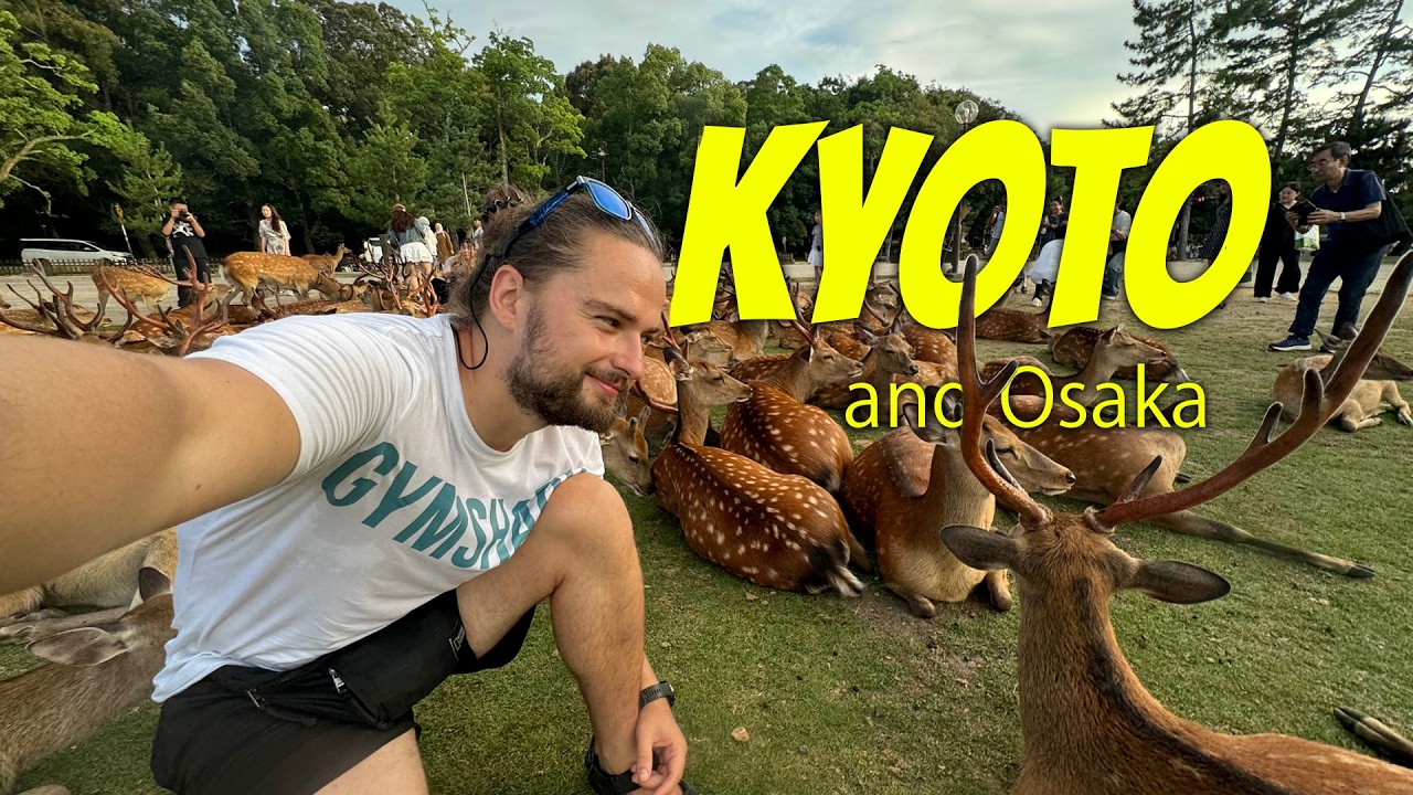 Budget Travel Guide: Kyoto, Osaka & Nara (Japan 🇯🇵)