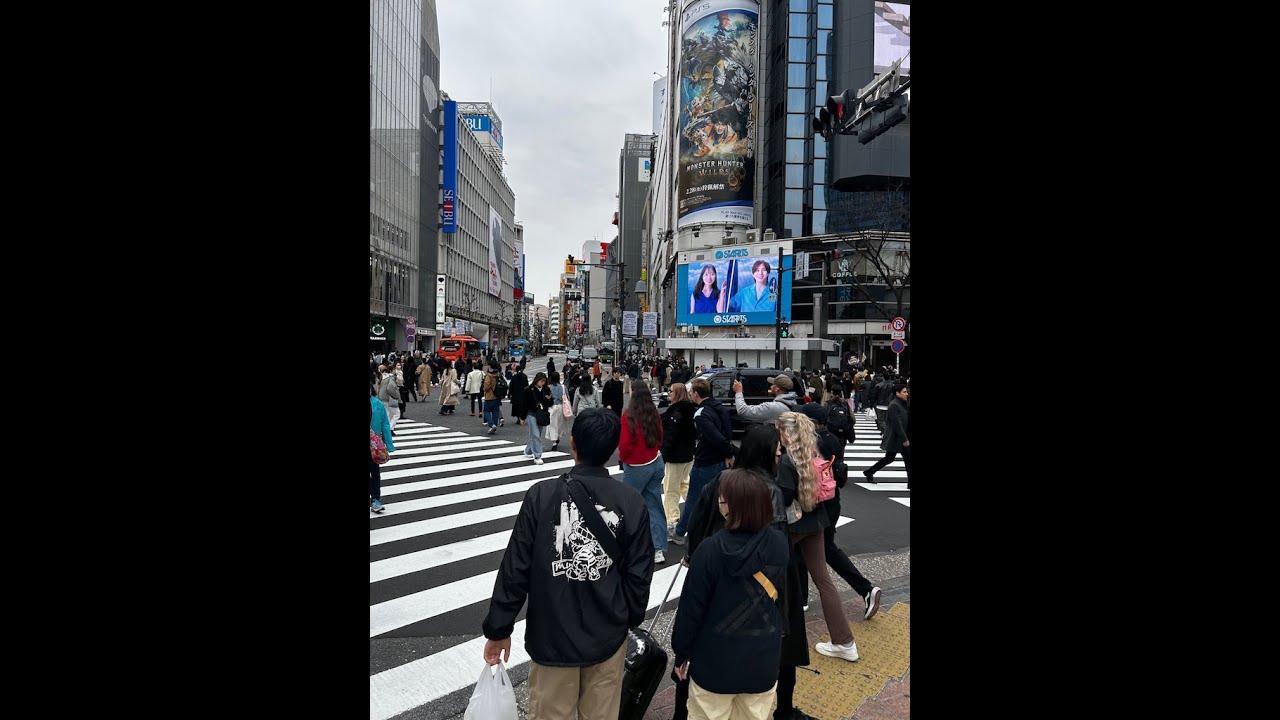Kyoto And Nara Tours