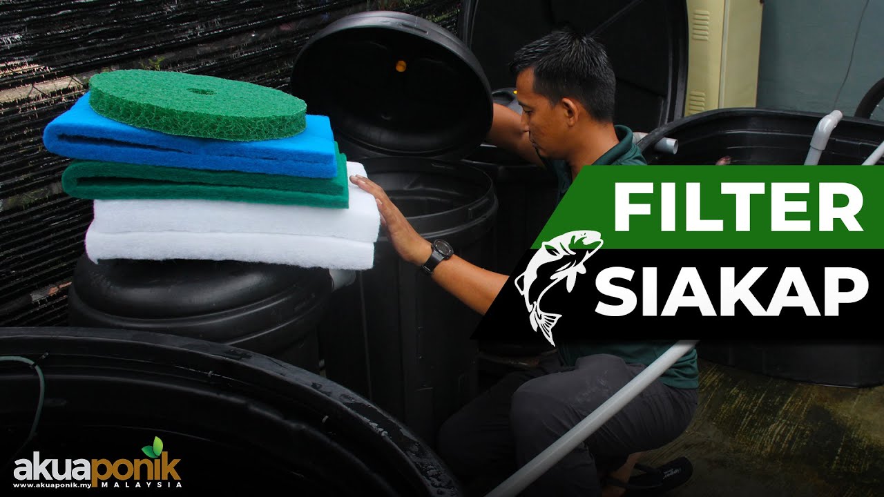 Filter Tangki SIAKAP | SOLID WASTE & BIO Filter | Perjalanan Sistem FILTER Akuaponik
