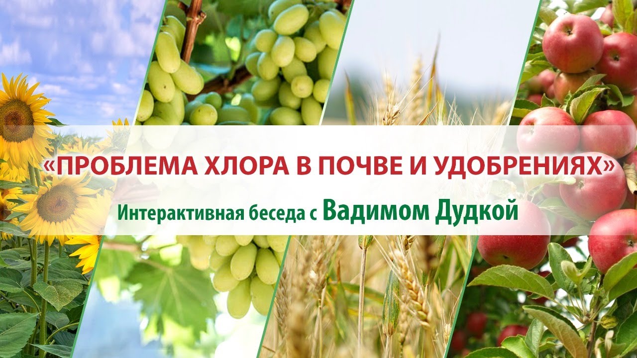 Проблема хлора в почве и удобрениях.