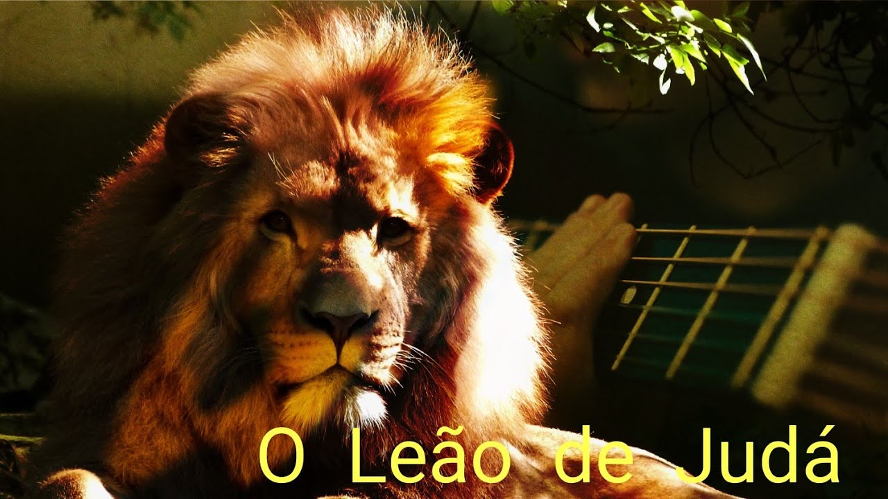 Fundo Musical - Ruja o Leão / Que se abra os céus - Nivea Soares / Isaías Saad